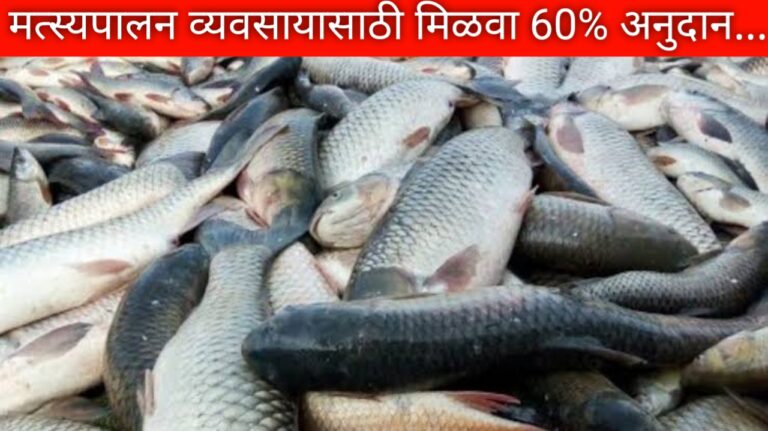 Shetkari Yojana: मत्स्यपालन व्यवसायासाठी मिळवा 60% अनुदान, शेतीसोबत कमवा लाखोंचा नफा…!